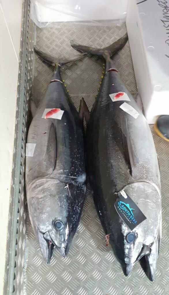 Enjoy the Bluefin Tuna season at Maguro Bar